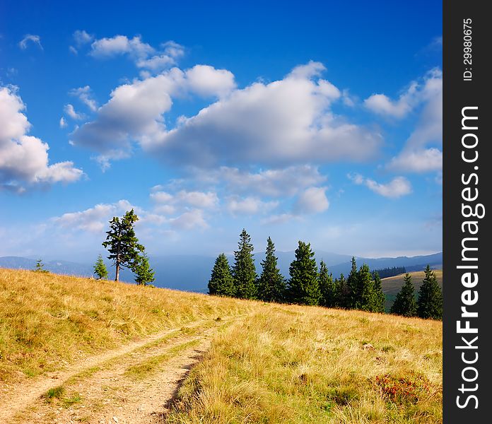 Bright landscape in the mountains on a sunny day. dirt road. Bright landscape in the mountains on a sunny day. dirt road