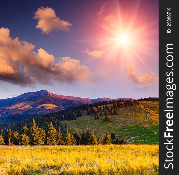 Wonderful evening landscape in the mountains with the sun. Wonderful evening landscape in the mountains with the sun