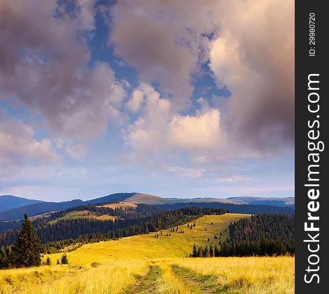 Daytime landscape with hills and road