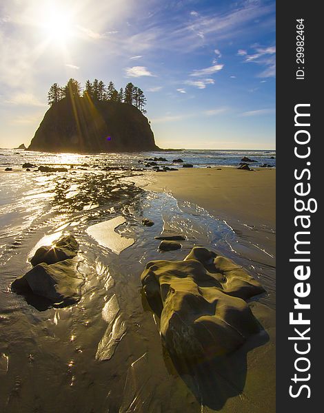 Seastack Sanctuary At Low Tide Second Beach Olympic National Park