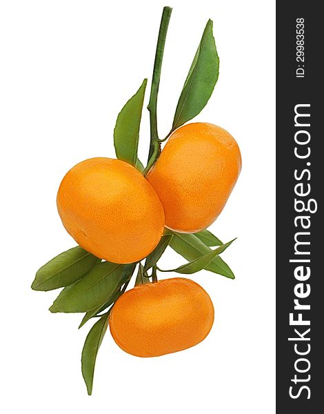 Fresh Ripe Tangerines With Green Leaves Isolated On White