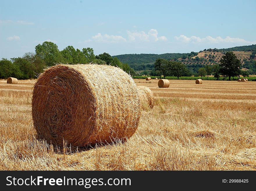 Hay Bale Landscape