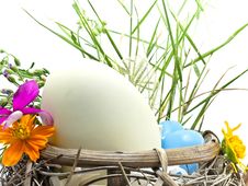 Easter Egg In The Basket Royalty Free Stock Image Easter Egg In The Basket Royalty Free Stock Image