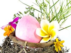 Easter Egg In The Basket Royalty Free Stock Images Easter Egg In The Basket Royalty Free Stock Images