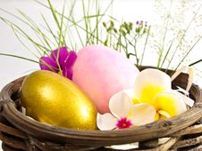 Easter Egg In The Basket Stock Images Easter Egg In The Basket Stock Images