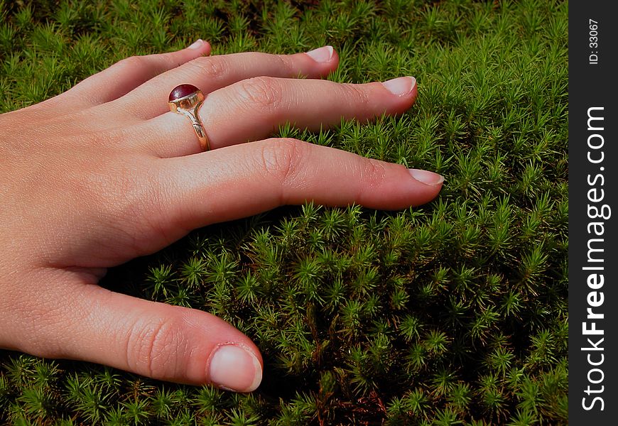 Woman hand and moss