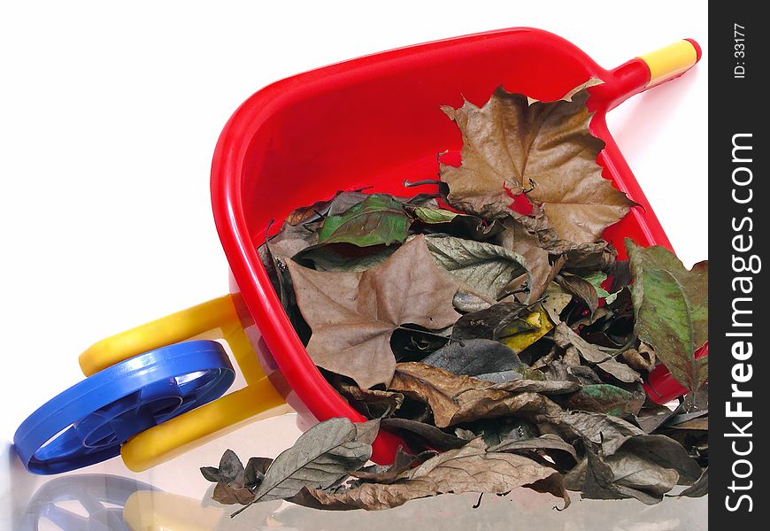 Toys: Plastic Wheelbarrel and Dry Leaves