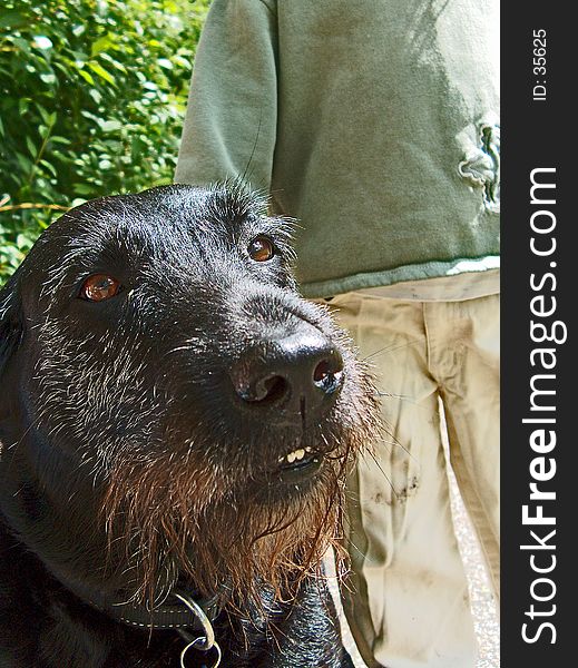 My friend, Trines dog, Emma. Standing behind her is her lilsis Maria. My friend, Trines dog, Emma. Standing behind her is her lilsis Maria.