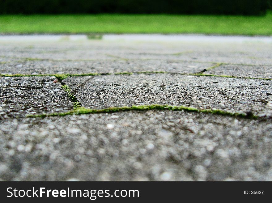 Some tiles outside a friends house.. Mmm I love macro shots..