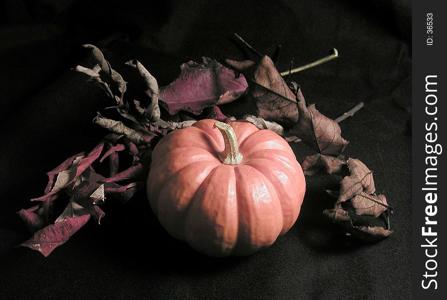 Still life on black background, consisting of a miniature pumpkin and dried leaves. Still life on black background, consisting of a miniature pumpkin and dried leaves.