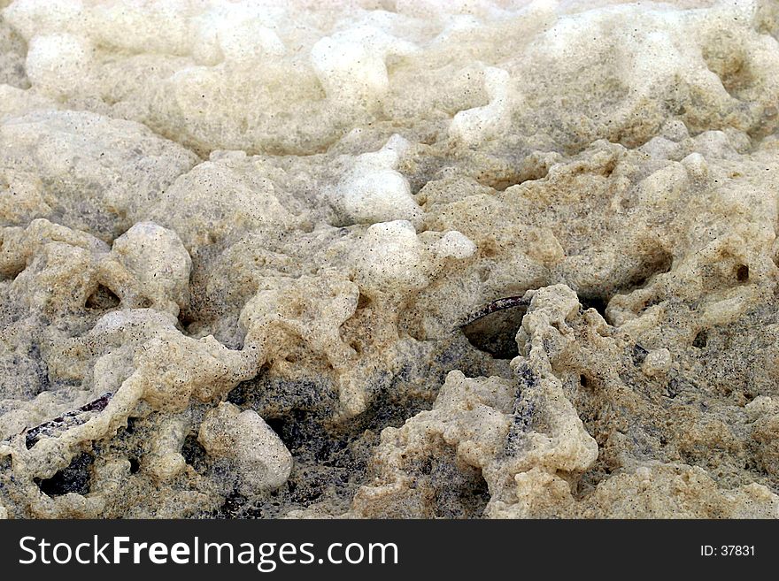 A close-up of dirty sea foam.