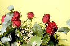 Flowers 6 Royalty Free Stock Photos Flowers 6 Royalty Free Stock Photos