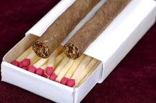Cigars Royalty Free Stock Images