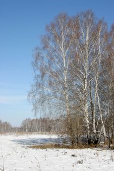 Russian Nature Royalty Free Stock Photos Russian Nature Royalty Free Stock Photos