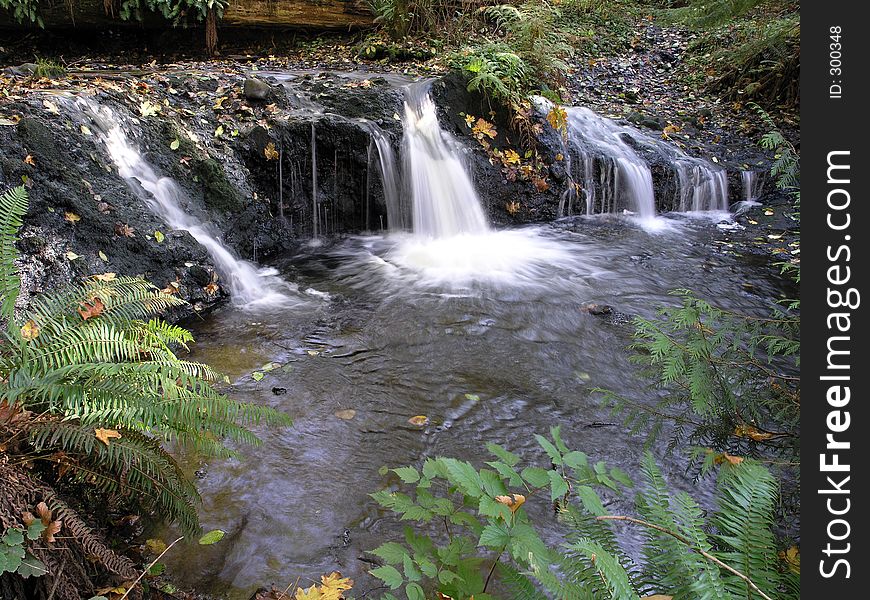 You'd never know this was just a few yards off the road if you weren't told to look for it. Victor Falls in Sumner, Washington isn't very well known, but it's a pretty place with several tiers to the falls and lots of greenery hiding it from passers-by. You'd never know this was just a few yards off the road if you weren't told to look for it. Victor Falls in Sumner, Washington isn't very well known, but it's a pretty place with several tiers to the falls and lots of greenery hiding it from passers-by.