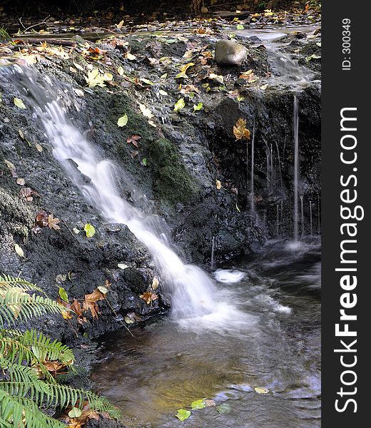 Close-up of a small section of Victor Falls in Sumner, Washington. Water isn't the only thing falling this time of year, as you can see by all the autumn leaves. Close-up of a small section of Victor Falls in Sumner, Washington. Water isn't the only thing falling this time of year, as you can see by all the autumn leaves.