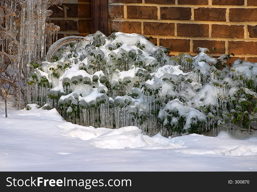 Icicles