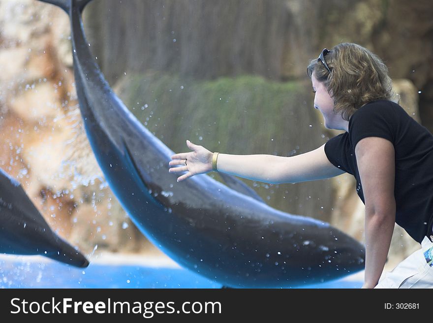 Chica tocando delfines