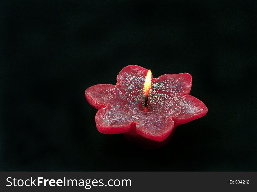 Candle flower isolated