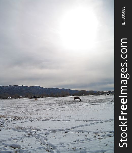 Taken outside Nephi, Utah, February, 2003. Taken outside Nephi, Utah, February, 2003
