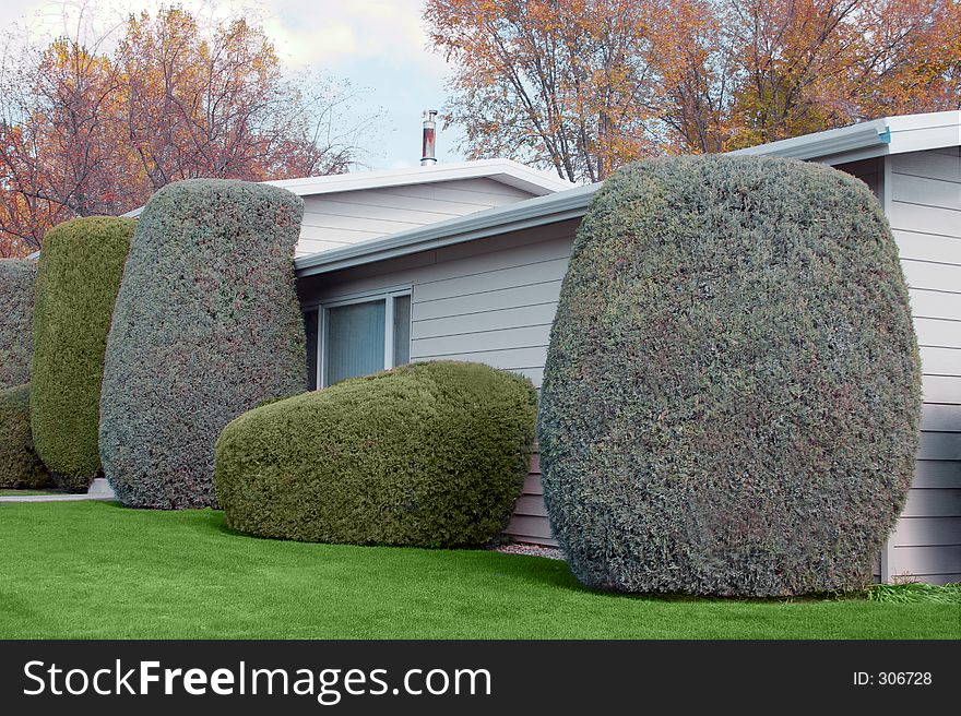Neatly trimmed shrubbery decorates this home. Neatly trimmed shrubbery decorates this home