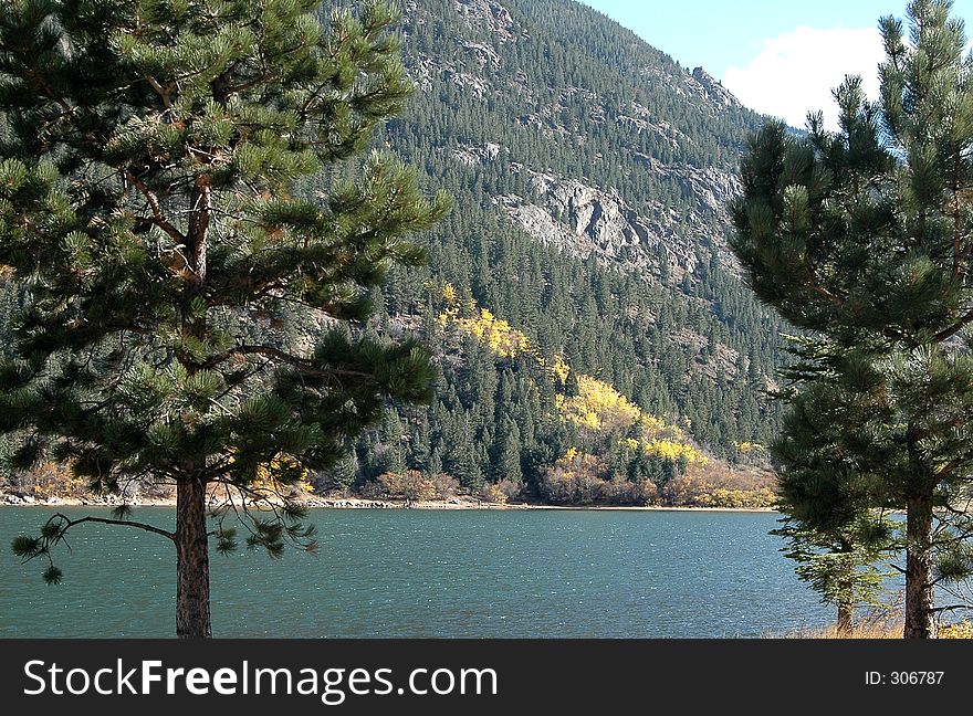 Two pine trees stand before a peaceful mountain lake