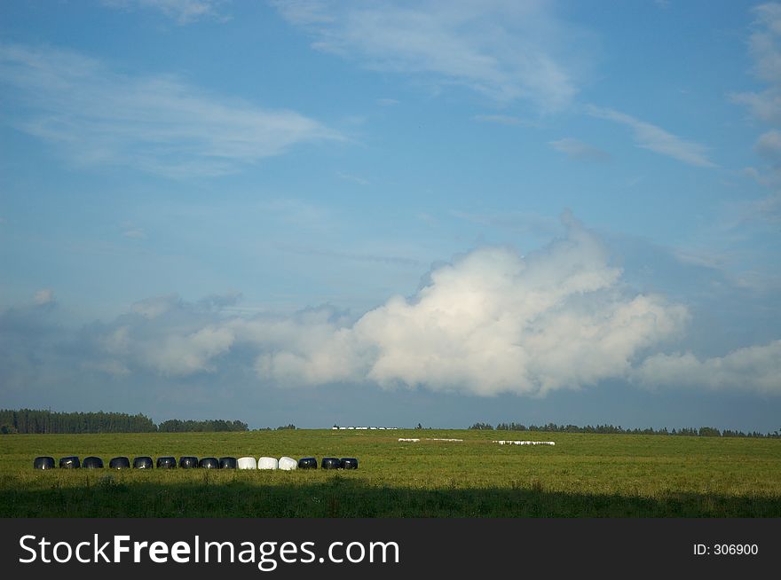 Late summer field with hayricks