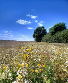 The Countryside - Summer Royalty Free Stock Images The Countryside - Summer Royalty Free Stock Images