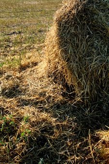 Broken Hay Bale On The Field Royalty Free Stock Image Broken Hay Bale On The Field Royalty Free Stock Image