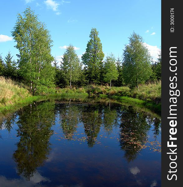 Reflections in the pond