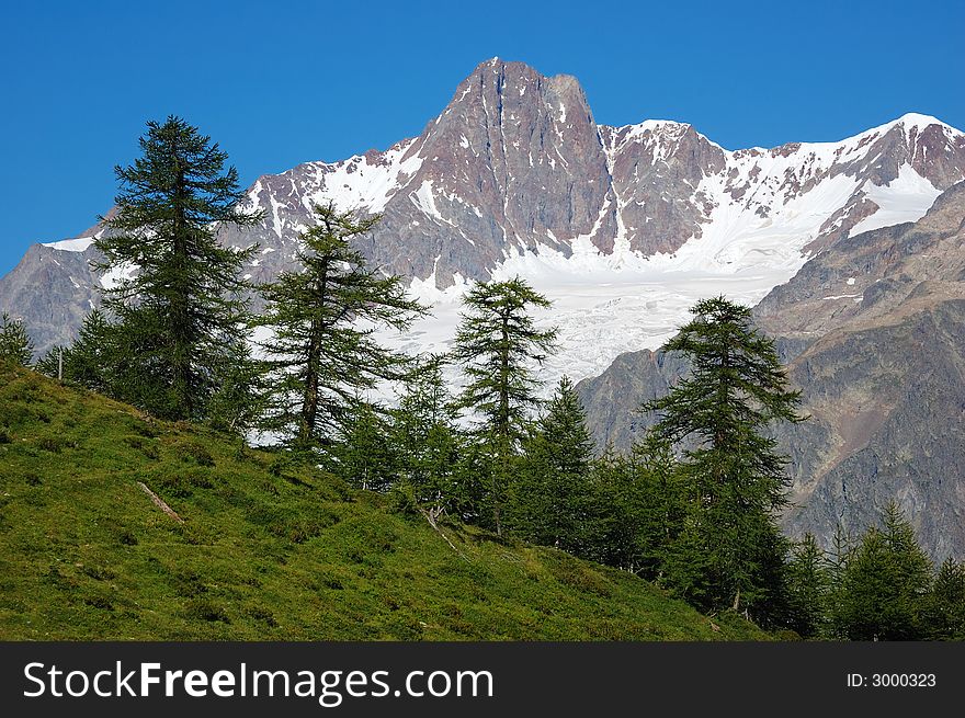Rocky peak with glaciers, Mont Blanc Massif, in foreground pine forest, sunny day; summer season. Rocky peak with glaciers, Mont Blanc Massif, in foreground pine forest, sunny day; summer season.
