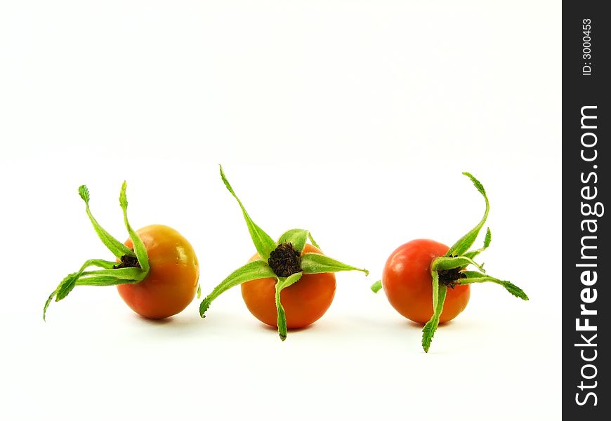 Nature, composition: three orange fruits wild roses on white background