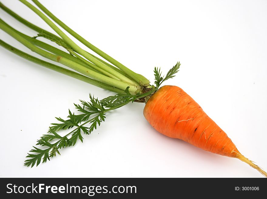 On a photo carrots. A photo on a white background