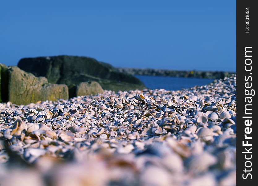 Blue sky and shells beach