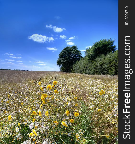 The countryside - summer