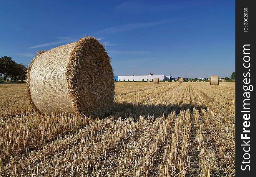 A field with a bale of straw.