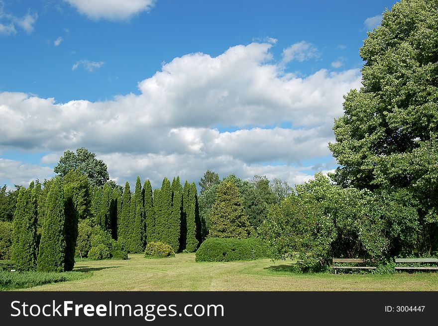 Picturesque landscape (trees, bushes, grass, the cloudy sky)