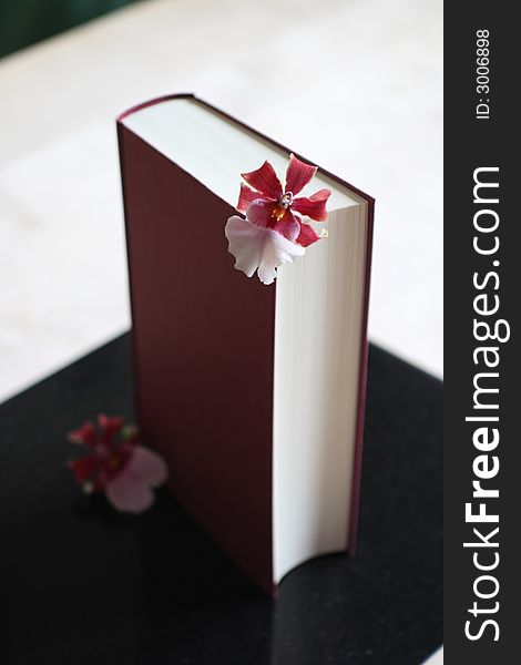 Book With Flower