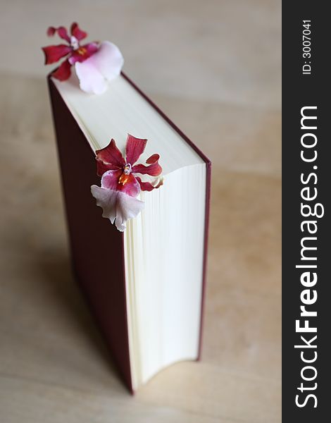 Book With Flower