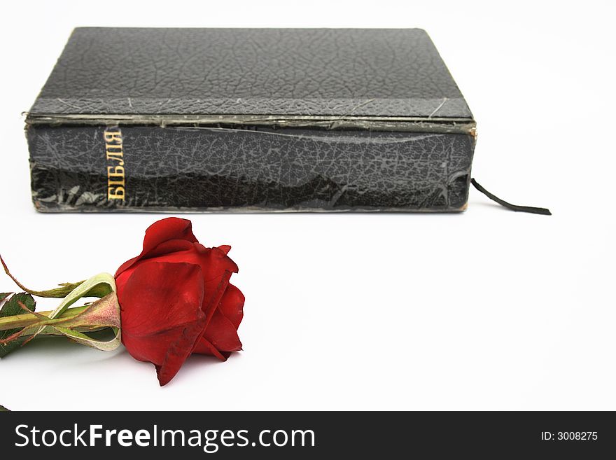On a photo a rose and Holy Bible