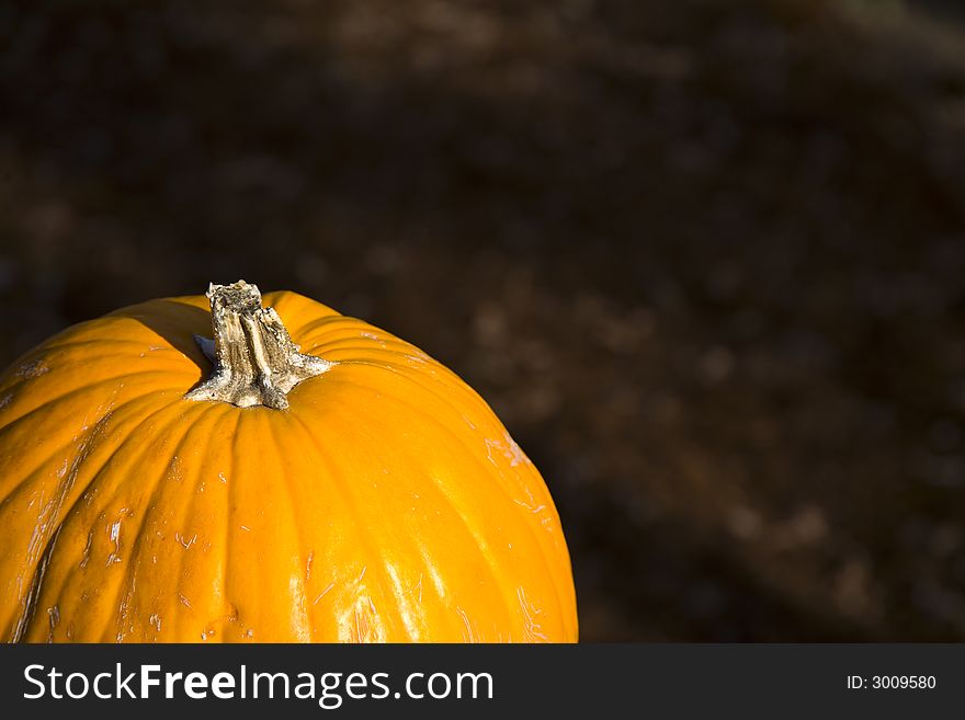 Pumpkin on fall brown background