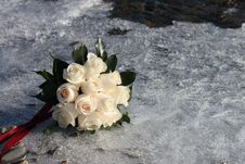 Bridal Bouquet Bridal Bouquet Of White Roses On The Ice Stock Image Bridal Bouquet Bridal Bouquet Of White Roses On The Ice Stock Image