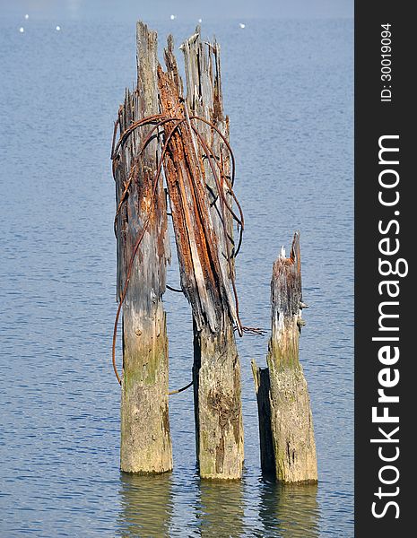 Part of old wooden pier sticking out of water