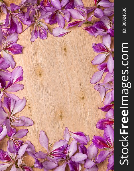 Frame with bauhinia petals on wood