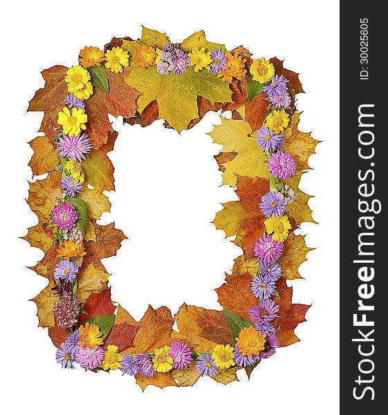 Autumn frame with maple leaves and colorful flowers isolated on white background