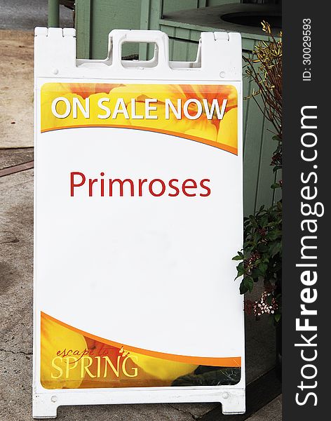 Sign advertising primroses for sale at a nursery in the Willamette Valley of Oregon