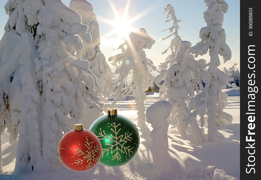 Red and Green Christmas Ornaments in winter forest with snow