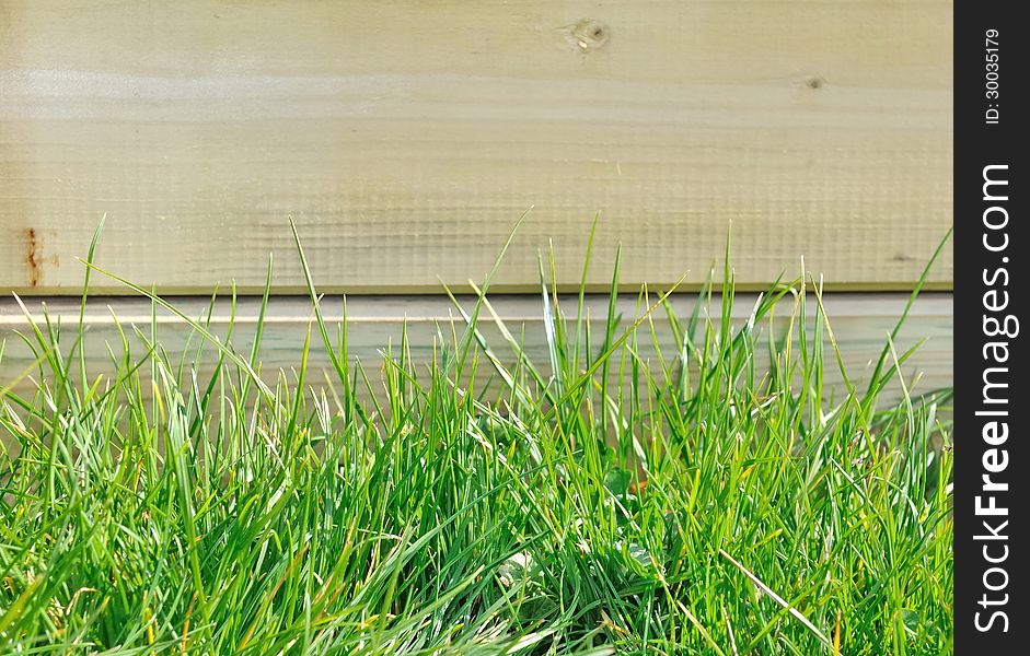 Close on green grass blades in front of a wooden border. Close on green grass blades in front of a wooden border