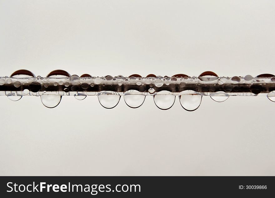 Close up of rain drops on a washing line. Close up of rain drops on a washing line