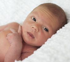 Newborn Baby Royalty Free Stock Images Newborn Baby Royalty Free Stock Images